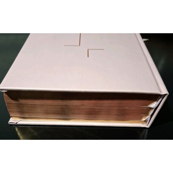 The Jesus Bible NIV Edition Zondervan Bibles Leathersoft over Board, Pink - Picture 9 of 11